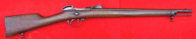 Werder 1869 (carabine)